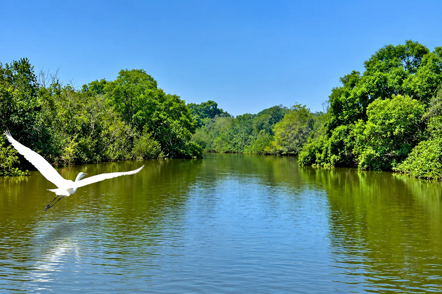 Bhitarkanika