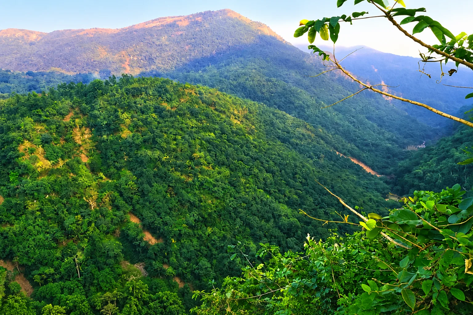 Daringbadi